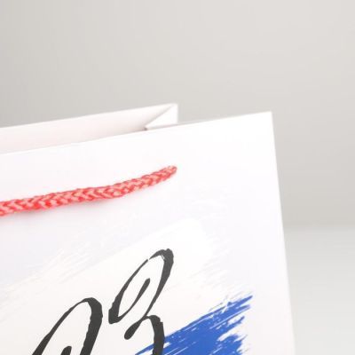 Пакет ламинированный вертикальный «Защитнику», ML 23 × 27 × 11,5 см