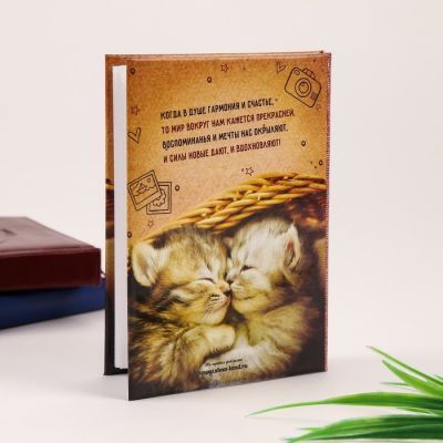 Фотоальбом "Котики", 36 фото 10х15 см