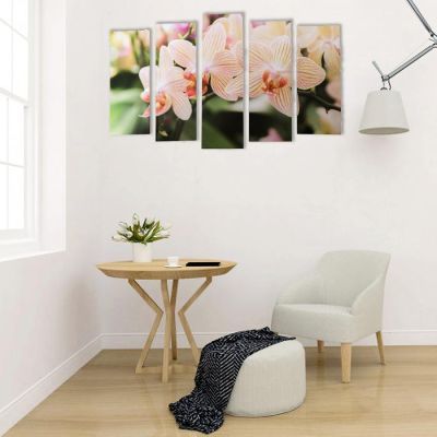 Картина модульная на подрамнике "Полосатая орхидея"  (2-25х63; 2-25х70; 1-25х80) 125х80см