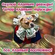 Магнит на холодильник "Скупой платит дважды! Тупой.."