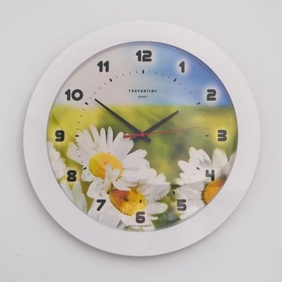 Часы настенные, серия: Цветы, "Ромашки", белый обод, 30х30 см