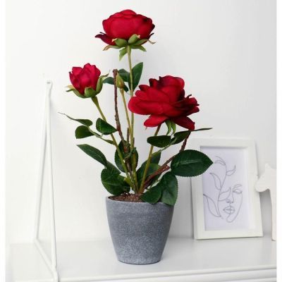 Композиция в горшочке "Розы" 10х32 см, микс