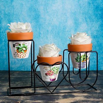 Набор кашпо керамических 3 шт, на подставке "IloveU", кашпо 9*9см