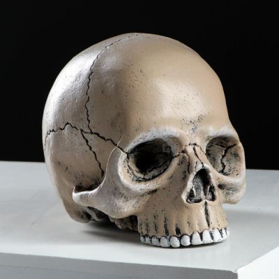 Копилка "Череп", глянец, бежевый цвет, 15 см