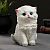 Копилка "Котенок" белый, 16х9х13см