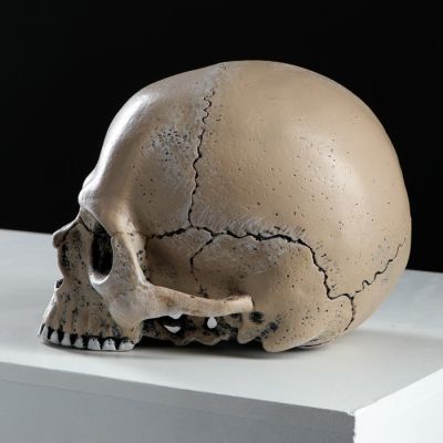 Копилка "Череп", глянец, бежевый цвет, 15 см