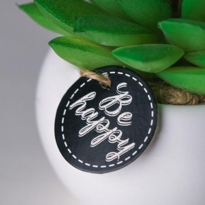 Суккулент в керамическом горшочке Be happy, 7 × 7.5 × 7.5 см