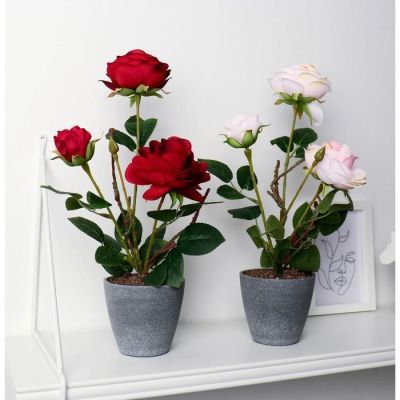 Композиция в горшочке "Розы" 10х32 см, микс