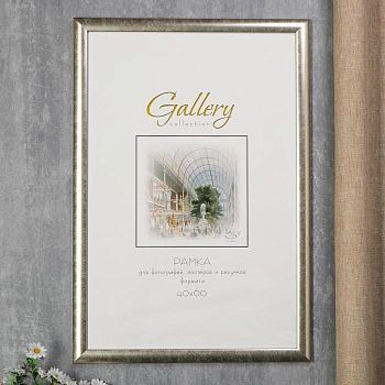 Фоторамка пластик Gallery 40х60 см 221 серебро
