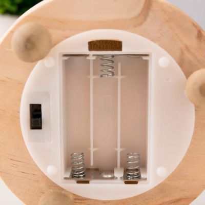 Ночник "Колба с алой розой" LED от батареек 3ААА 19,5х9,5х9,5 см