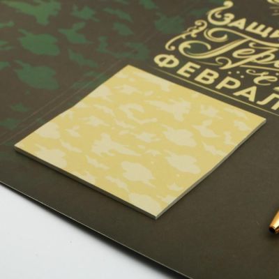 Подарочный набор "С Днём Защитника Отечества!", ручка и блок стикеров