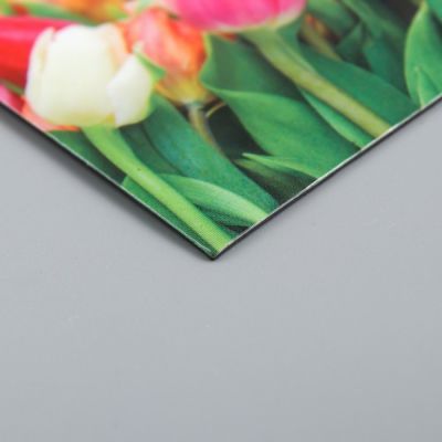 Магнит винил "8 марта. Тюльпаны" 7х10 см