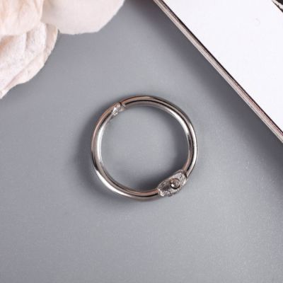 Кольца для творчества (для фотоальбомов) "Серебро", набор 20 шт. d=2 см