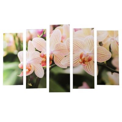 Картина модульная на подрамнике "Полосатая орхидея"  (2-25х63; 2-25х70; 1-25х80) 125х80см