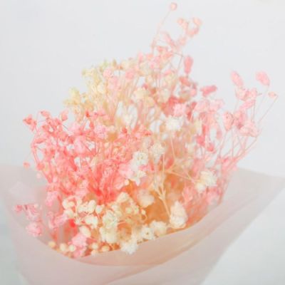 Подарочный набор "Лучшей сестре", 22,2 х 5 х 18,5 см