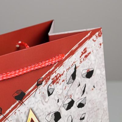 Пакет ламинированный вертикальный «Настоящему Мужчине», ML 23 × 27 × 11,5 см