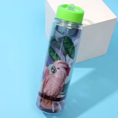 Бутылка для воды "Попугай", 550 мл
