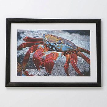 Фоторамка 21х30 см (7N92) чёрный