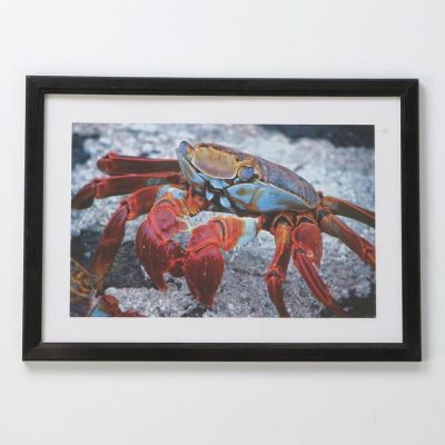 Фоторамка 21х30 см (7N92) чёрный