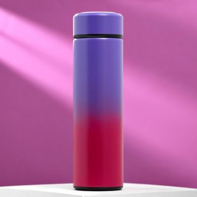 Термос "Мечтай", 500 мл, сохраняет тепло 12 ч