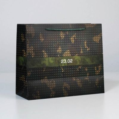 Пакет ламинированный горизонтальный Present, ML 27 × 23 × 11,5 см