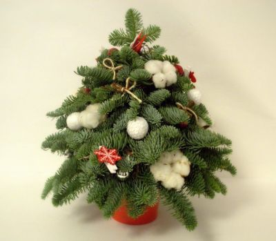 Новогодняя елочка из лапника датской голубой ели (ручной работы)