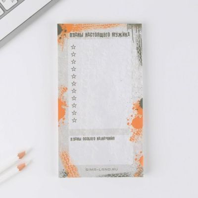 Подарочный набор «С 23 февраля лучшему мужчине» планинг и ручка