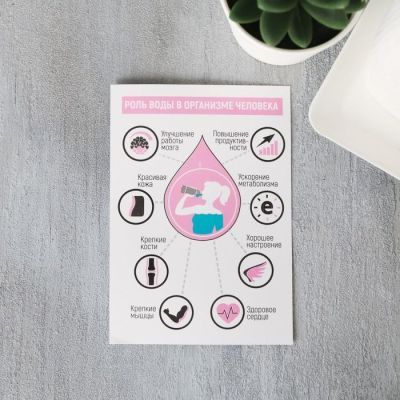 Набор спонжей для умывания «Вот это красота», 3 шт., 16 х 24 см