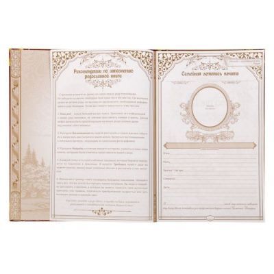 Родословная книга "Книга нашей семьи" (21,5 х 3 х 30,5 см)