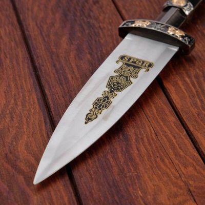 Сувенирный кинжал, эмблема на лезвии, чехол чёрный, 35 см