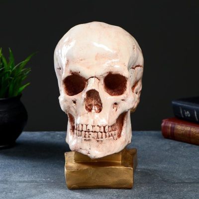 Копилка "Череп на подставке №3" бежевый камень, 24х13х18см