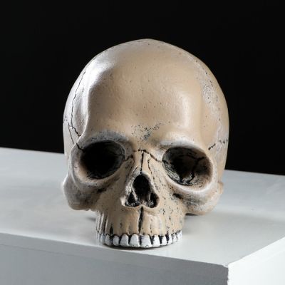 Копилка "Череп", глянец, бежевый цвет, 15 см