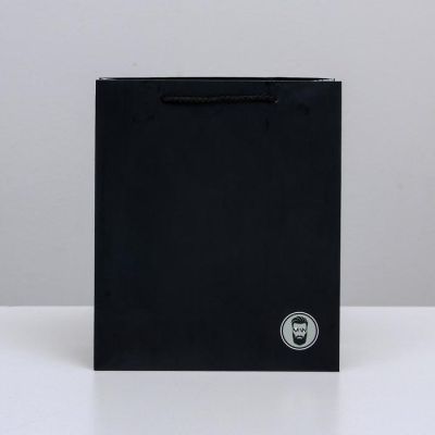 Пакет ламинированный вертикальный «Ты лучший», ML 23 × 27 × 11,5 см