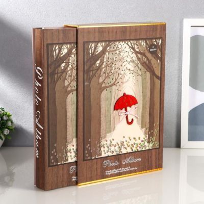 Фотоальбом на 300 фото 10х15 см "Непогода" в коробке МИКС 33,5х23,5х5,5 см