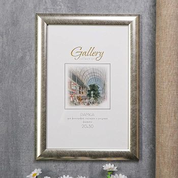 Фоторамка пластик Gallery 20х30 см 221 серебро