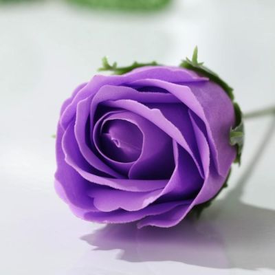 Мыльный цветок «Яркой весны»