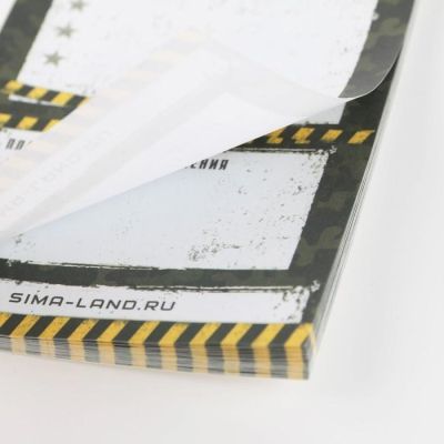 Подарочный набор «23.02 защитнику отечества» планинг и ручка