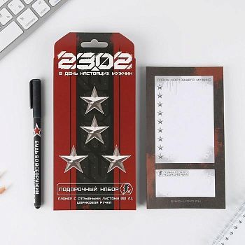 Подарочный набор «23.02 В день настоящих мужчин» планинг и ручка
