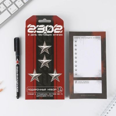 Подарочный набор «23.02 В день настоящих мужчин» планинг и ручка