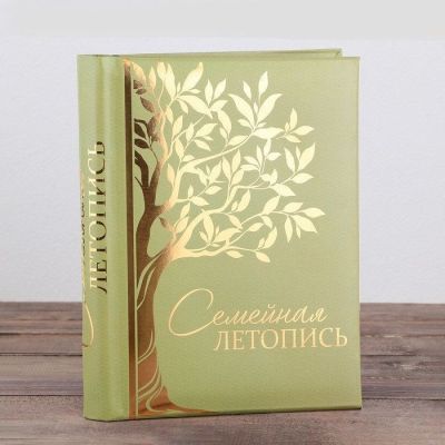 Родословная книга нашей семьи "Семейная летопись", 30 листов на пружине (29 х 25 см)