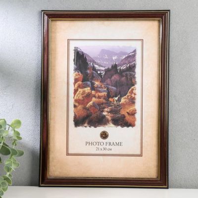 Фоторамка пластик 287 21х30 см