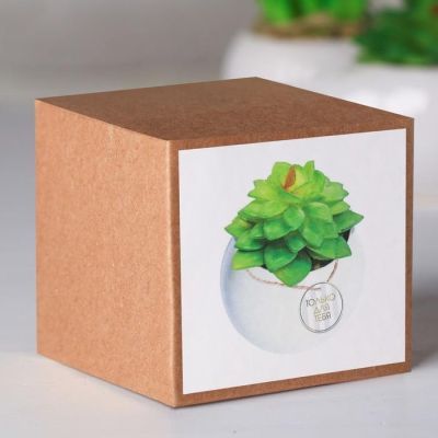 Суккулент в керамическом горшочке «Только для тебя», 7 × 7.5 × 7.5 см