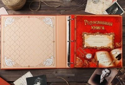 Родословная книга на кольцах красная «Книга нашей семьи», 112 страниц (30 х 30 см)