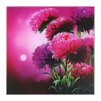 Картина "Яркие астры" 30*30 см