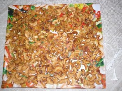 Электросушилка «Самобранка» - суперподарок дачникам (50х50см)