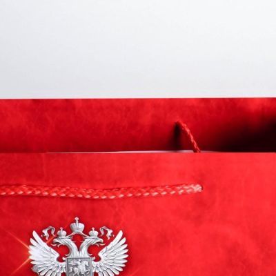 Пакет ламинированный вертикальный «23 февраля!», ML 23 × 27 × 11,5 см