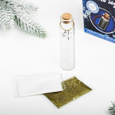 Набор новогодний талисман «Зима»