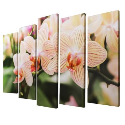 Картина модульная на подрамнике "Полосатая орхидея"  (2-25х63; 2-25х70; 1-25х80) 125х80см