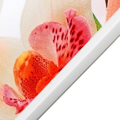 Модульная картина "Нежная орхидея" 23х59-1шт, 20х53-2шт, 18х47-2шт, 60х100 см