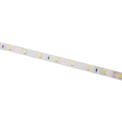 Светодиодная лента Ecola PRO 5 м, IP20, SMD3528, 60 LED/м, 4.8 Вт/м, 12 В, 2800К